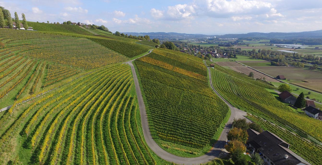 Weinberg