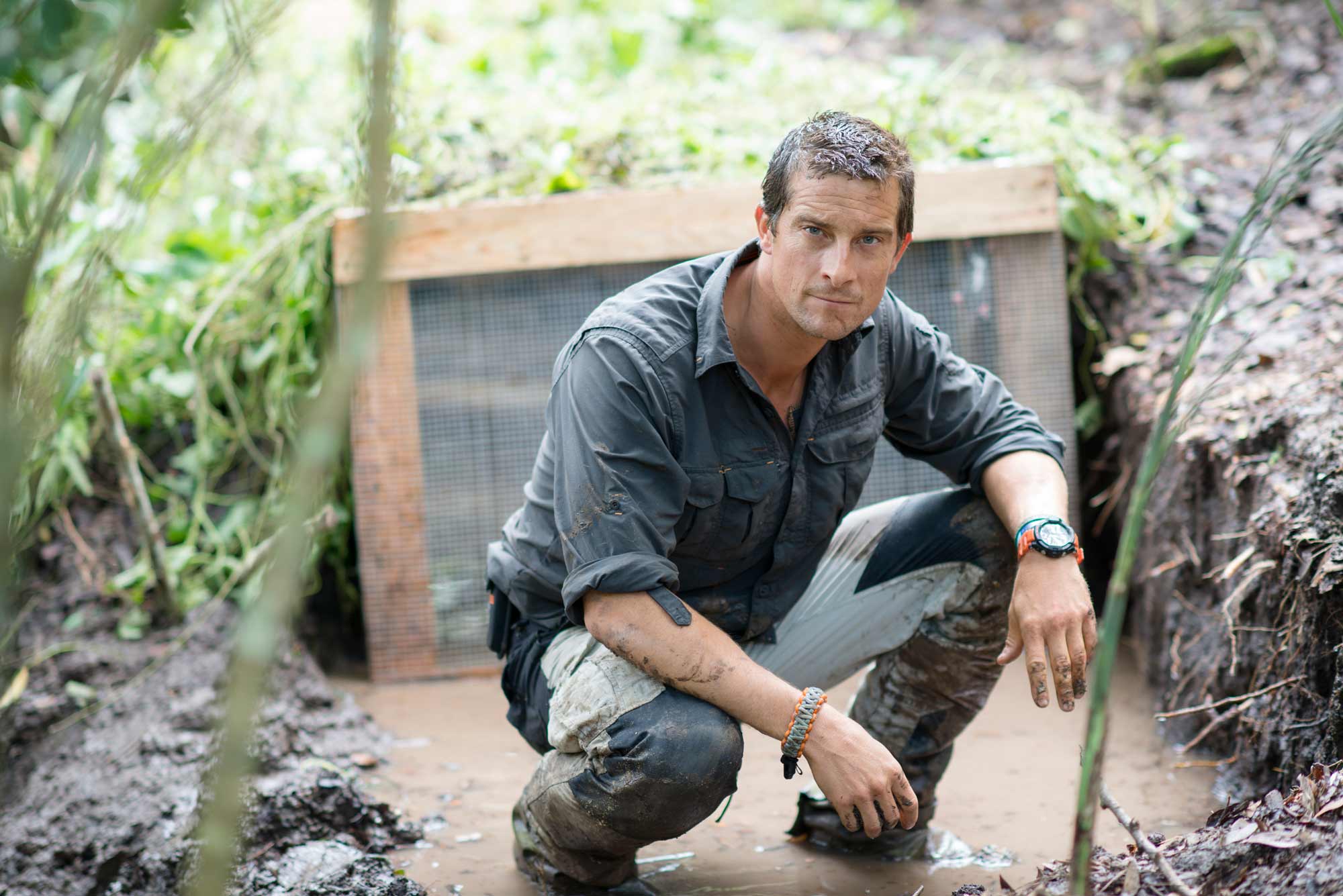 Bear Grylls