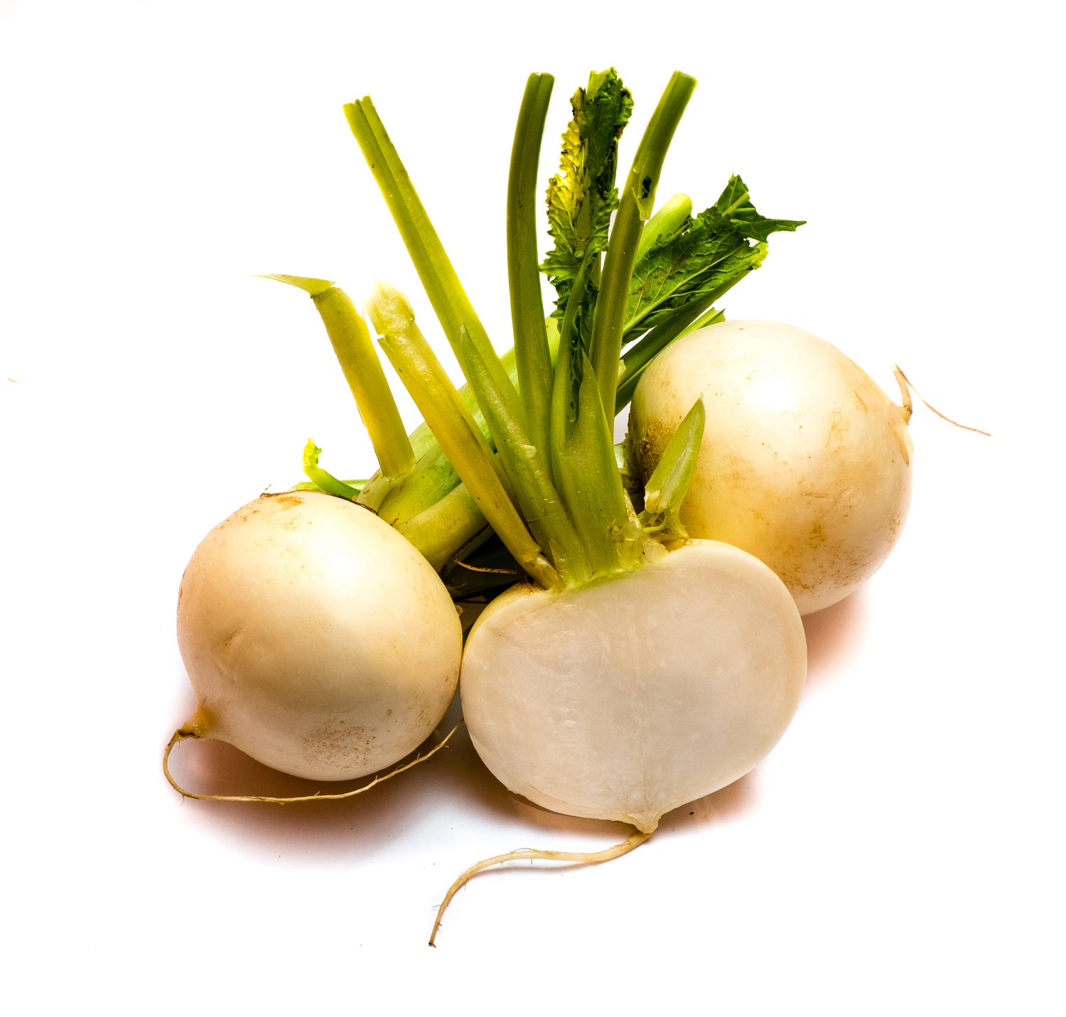 Mairübe