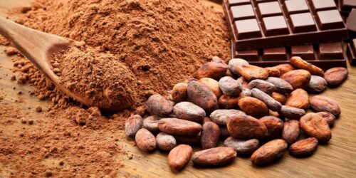 Cocoa Beans and Cocoa Powder with Chocolate Bars on Wood Table. Schweizer Schokolade