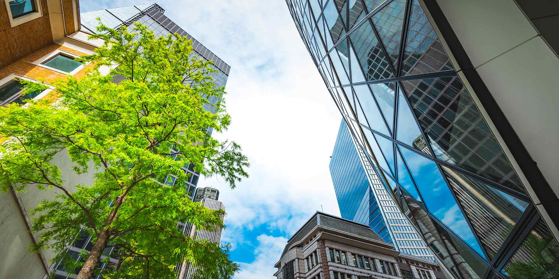 tours d'affaires et feuilles vertes, londres. image non contractuelle durabilité