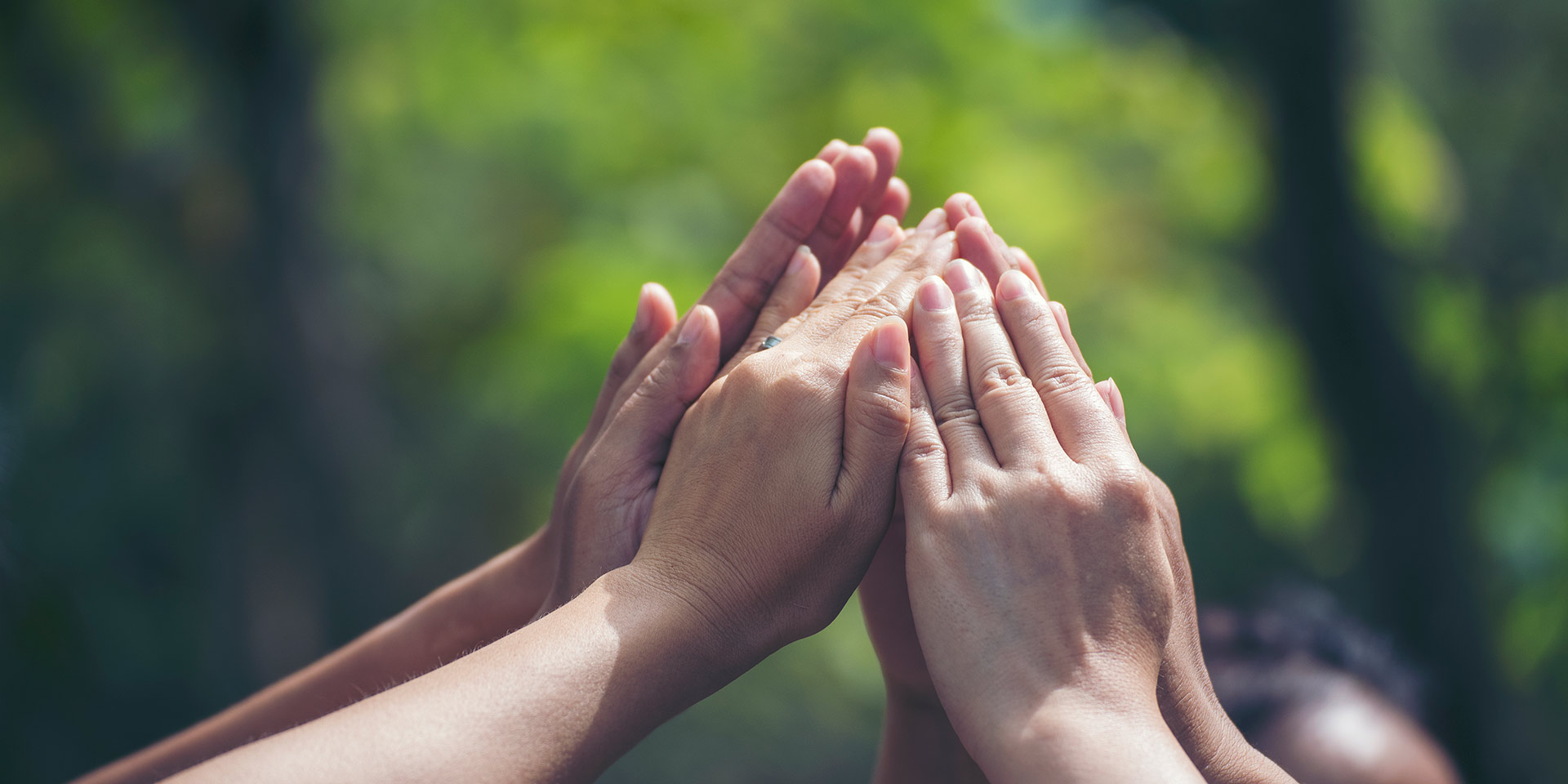group of teamrk high five team together hands raise up po partner. diversity multiethnic group of business people success team together. collaborate volunteer friendship mission business partner stock photo