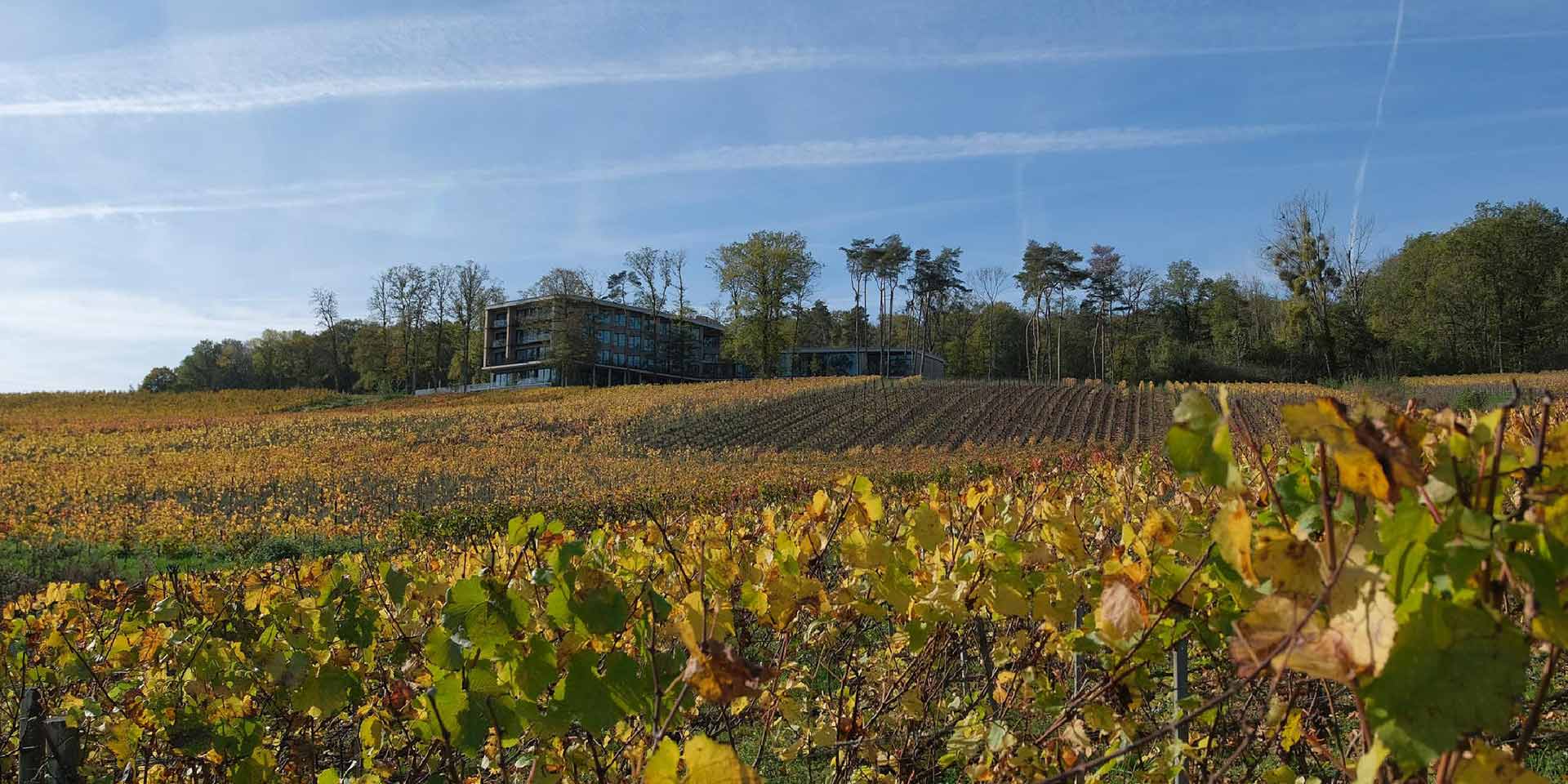 la douceur de l’automne en champagne