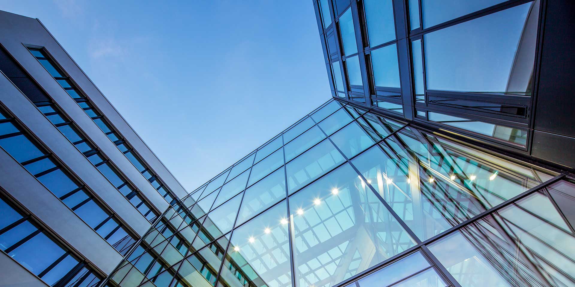 la responsabilité des dirigeants d’entreprise