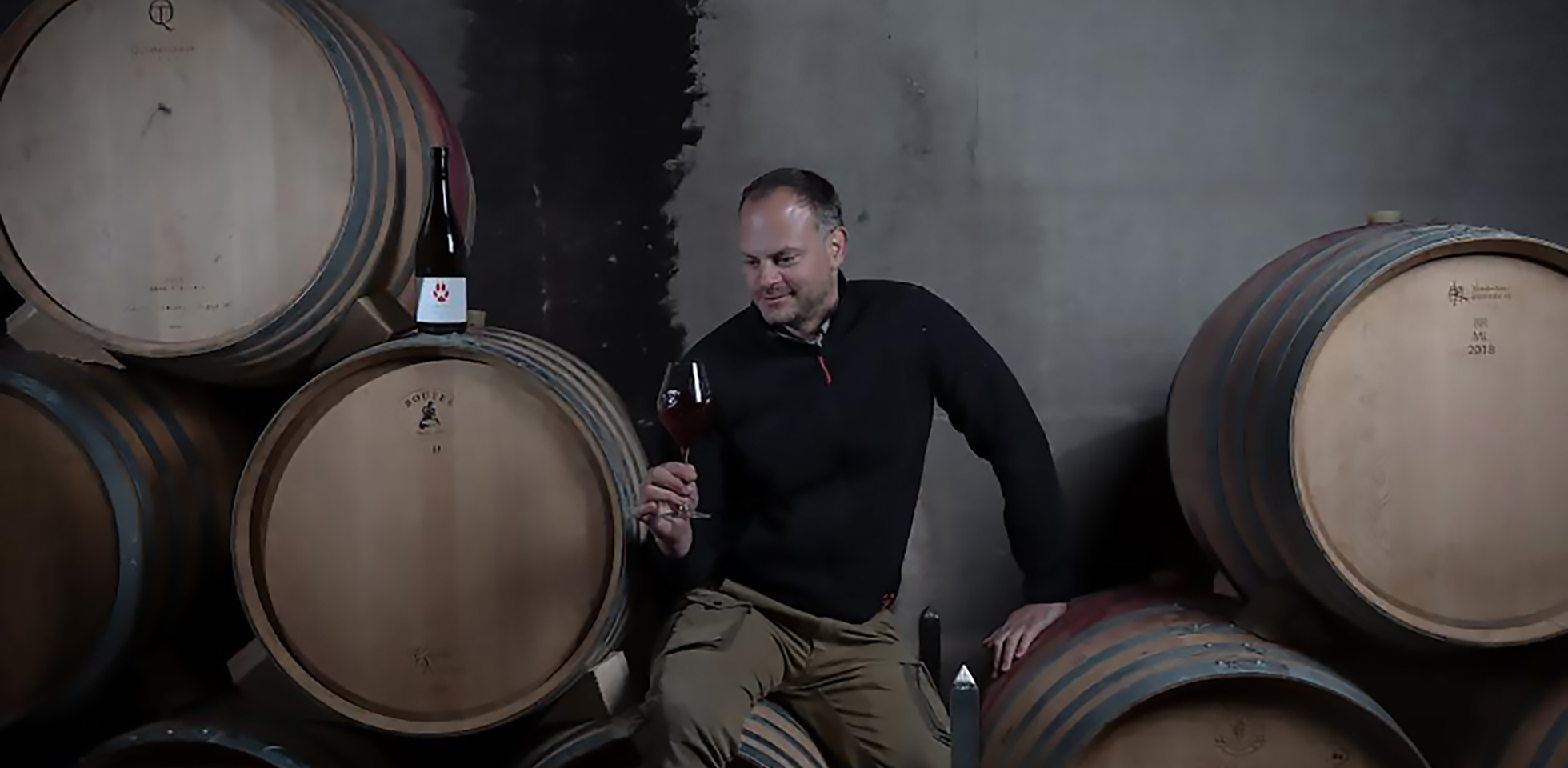 vins sains les vins sains : l’expression pure du terroir