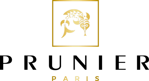 Logo Prunier Maison