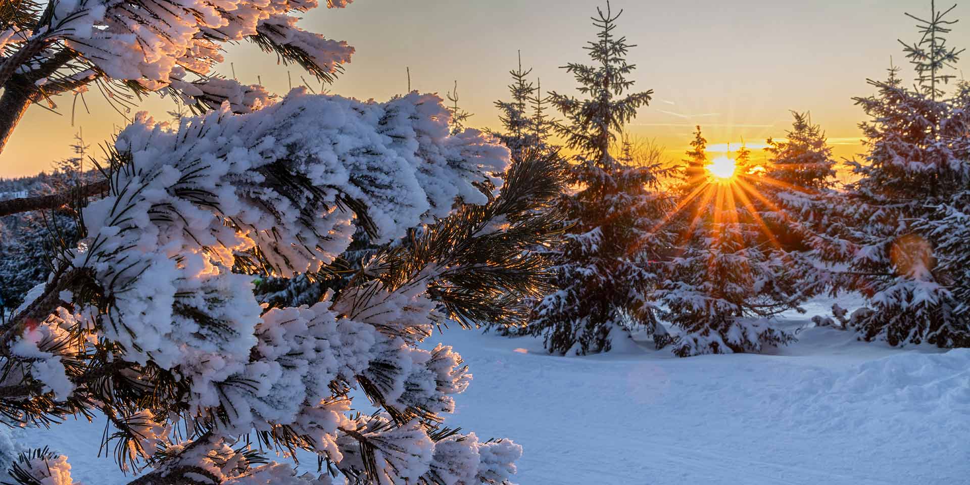 se réchauffer au soleil