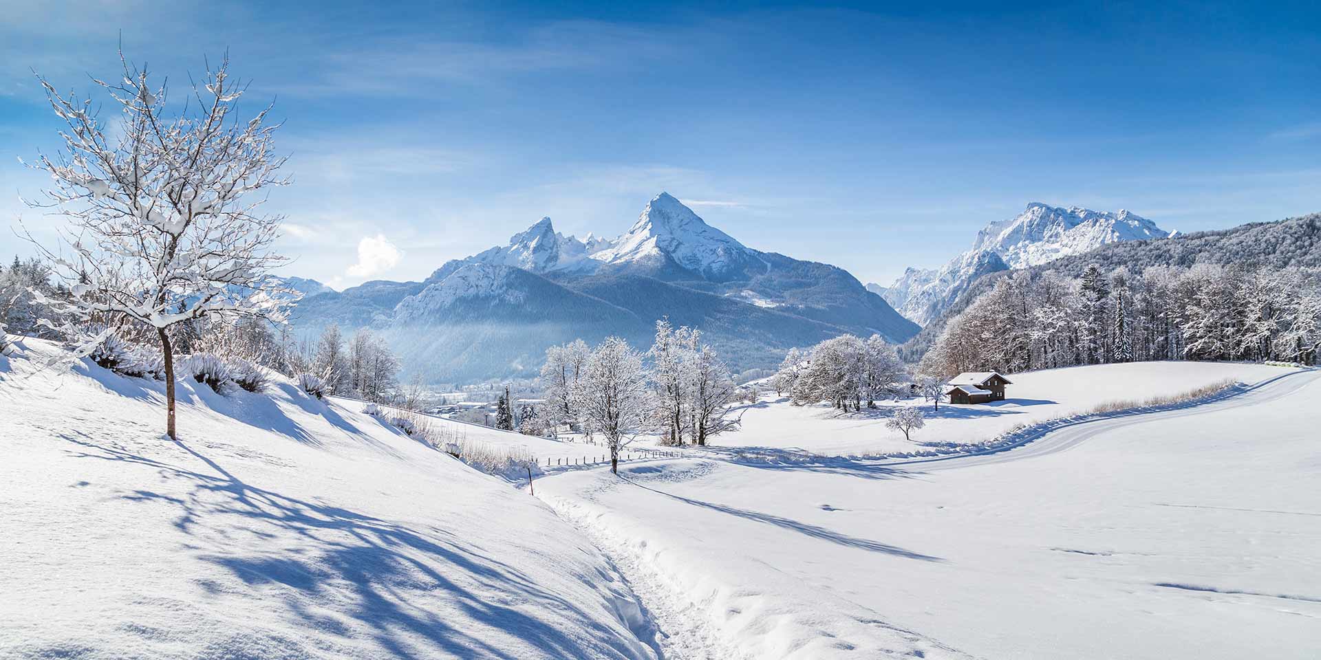 l’aménagement paysager, pilier de la transition écologique