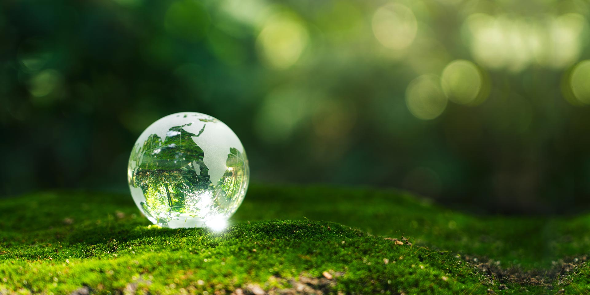 crystal earth in forest environment, save rld, earth day and conservation and renewable energy concept