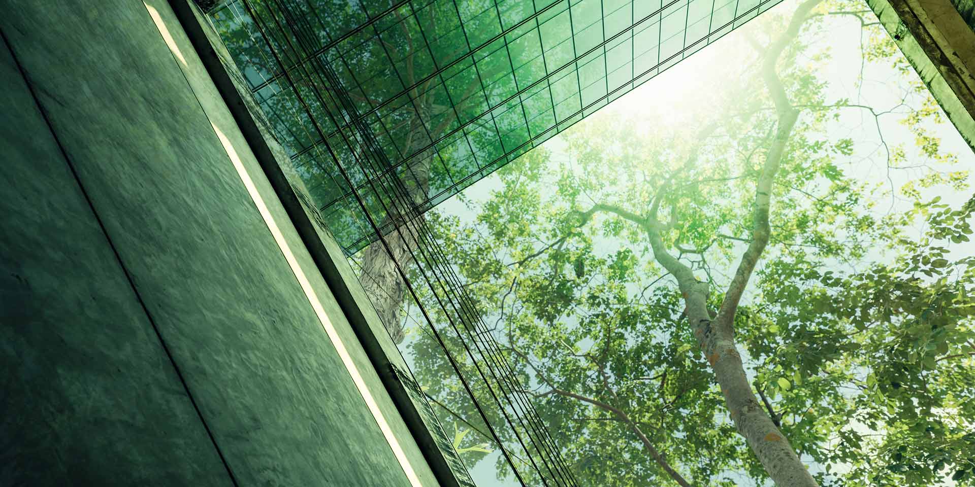 accélèrer sa transition environnementale avec ses partenaires