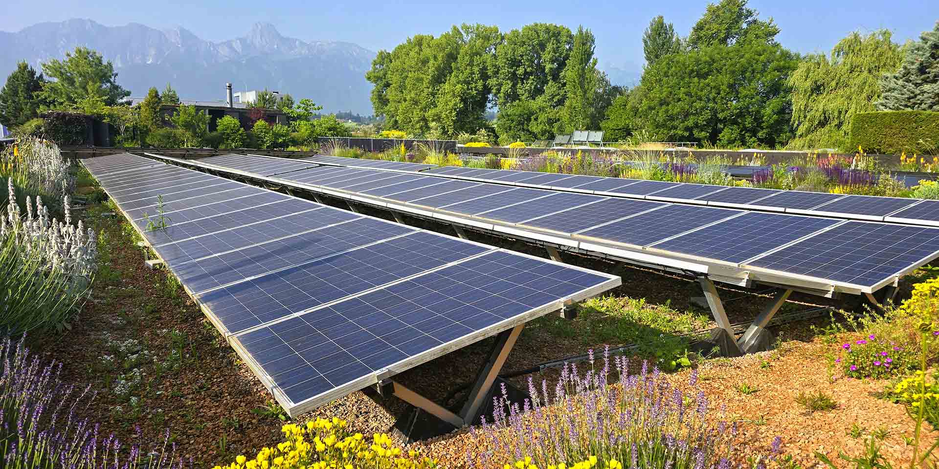 nature, énergie et innovation sur un seul toit