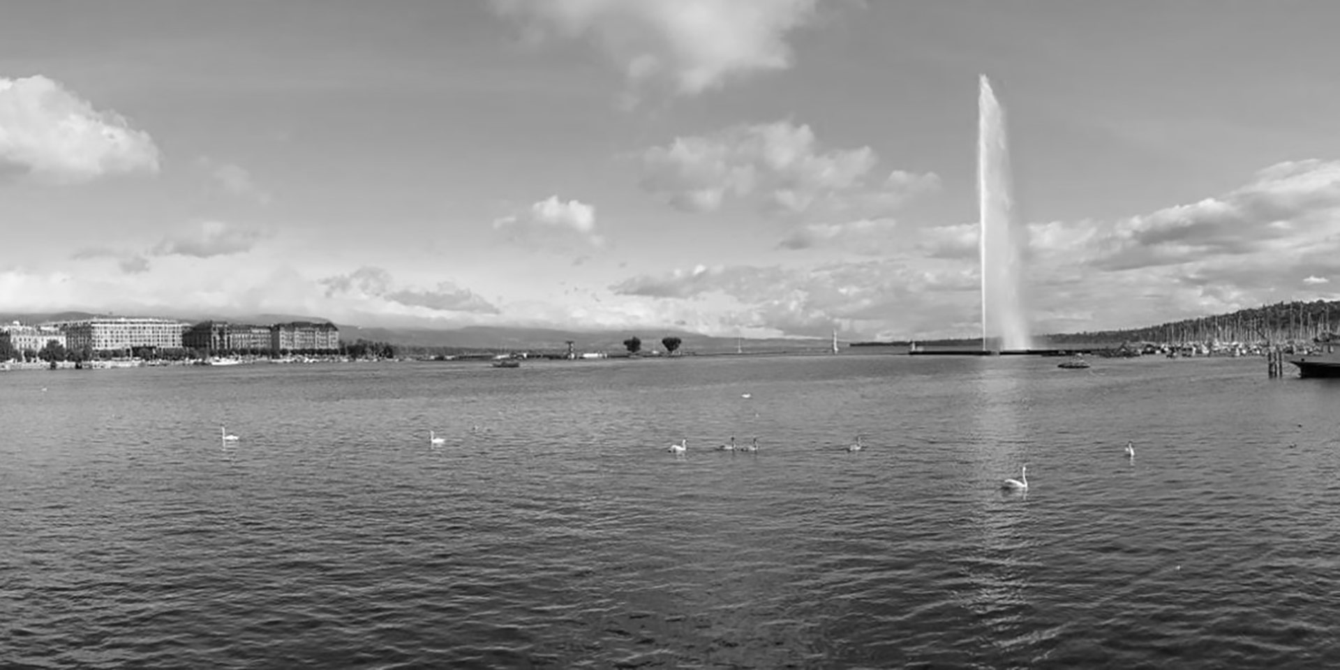 navigating regulation