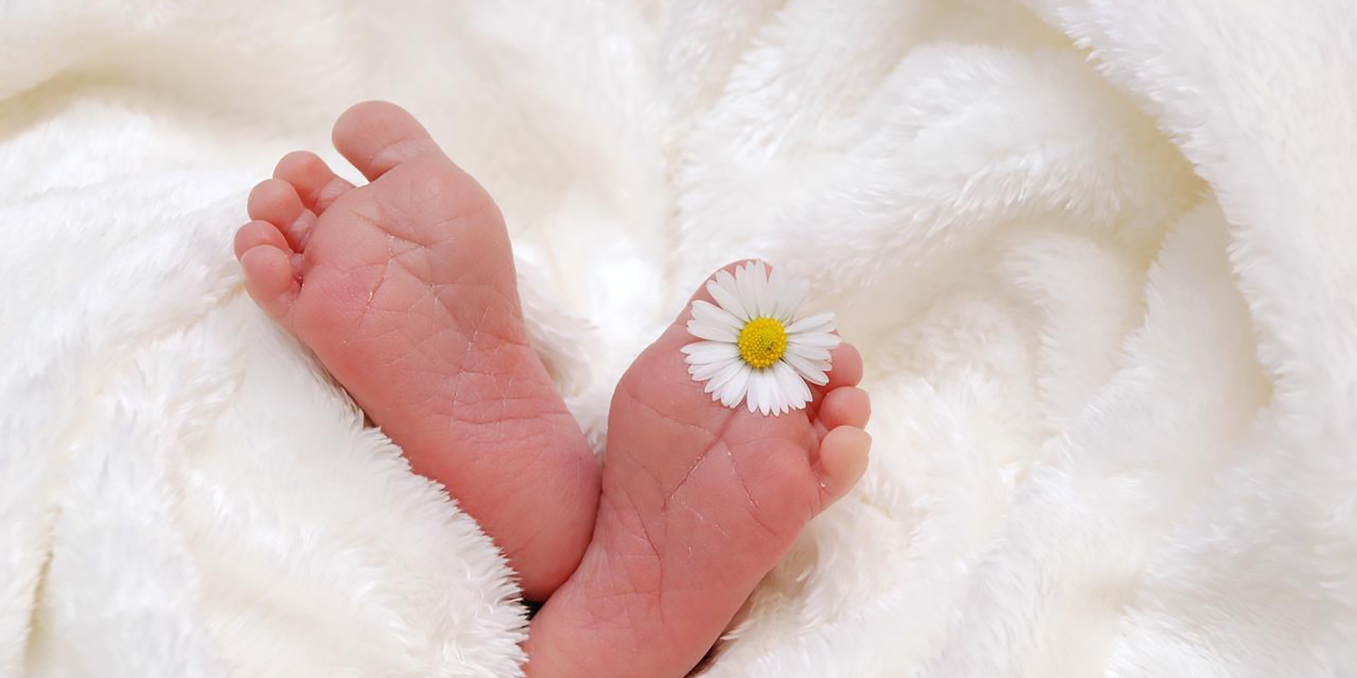 « la reproduction n’est plus une priorité pour la jeune génération »