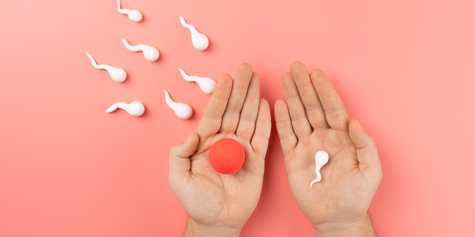 pma : donner vie à votre projet de devenir parent