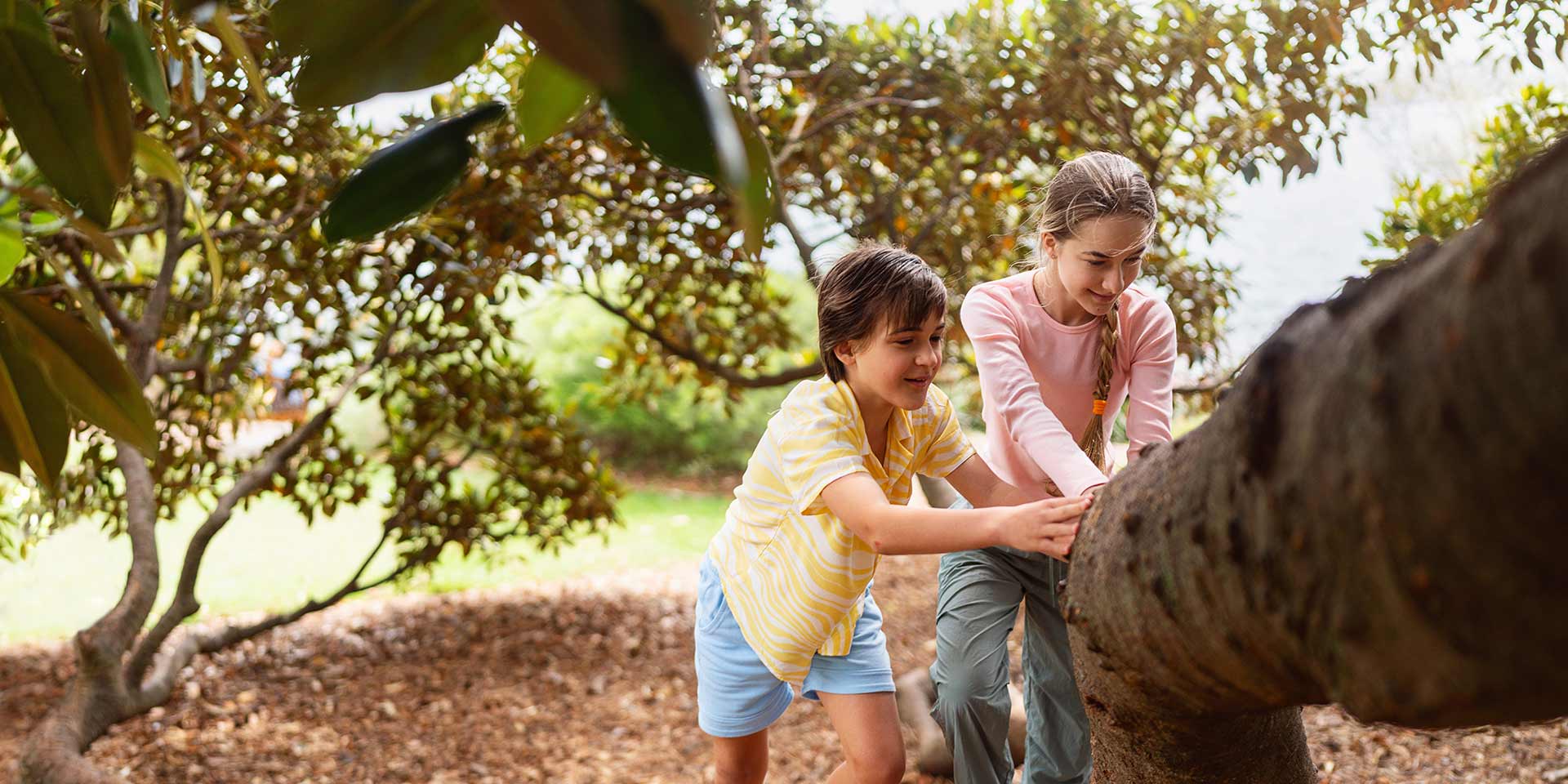 grandir dehors : quand la nature devient un terrain d’apprentissage