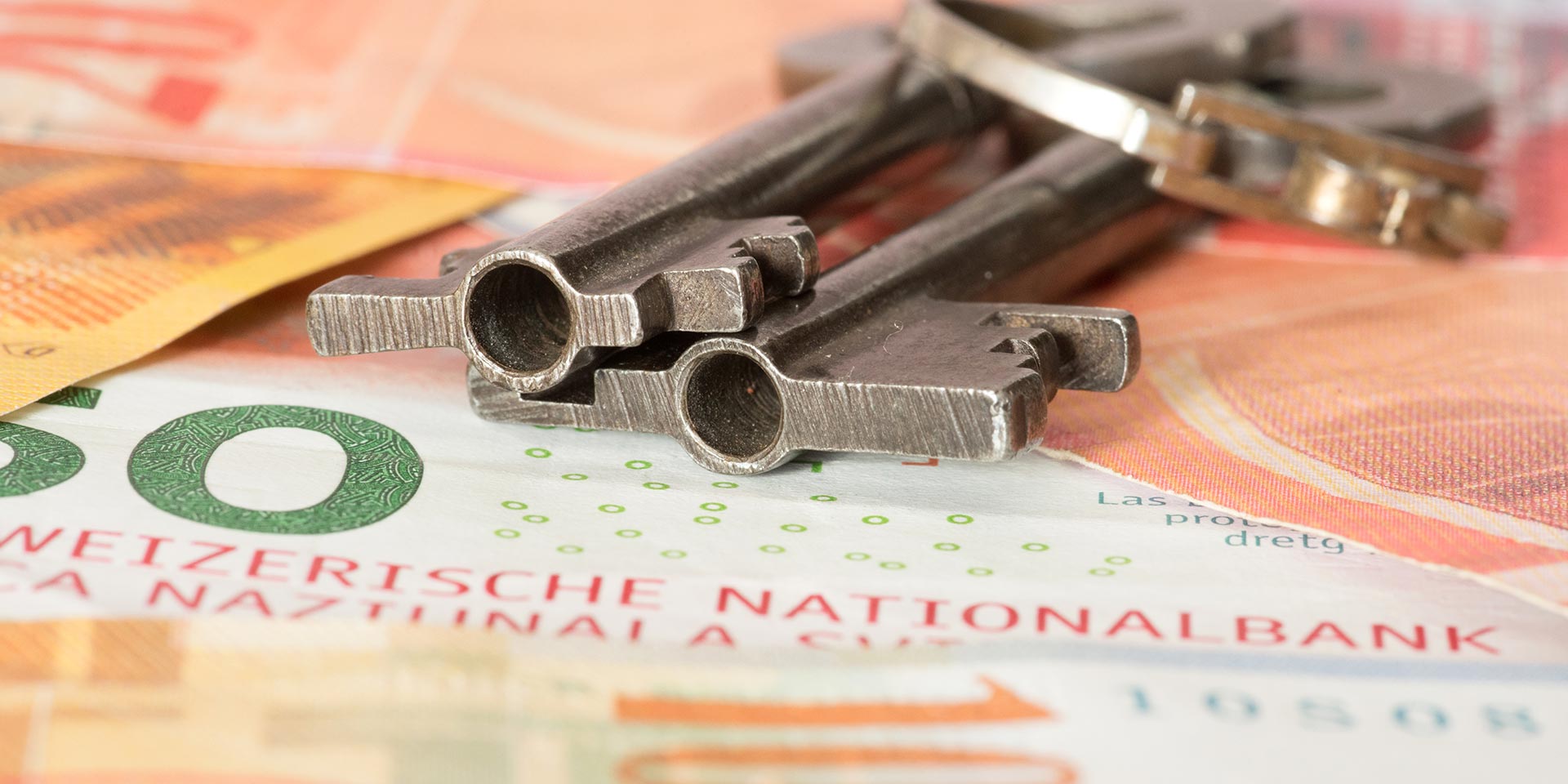 l’instinct et le collectif au cœur de la réussite