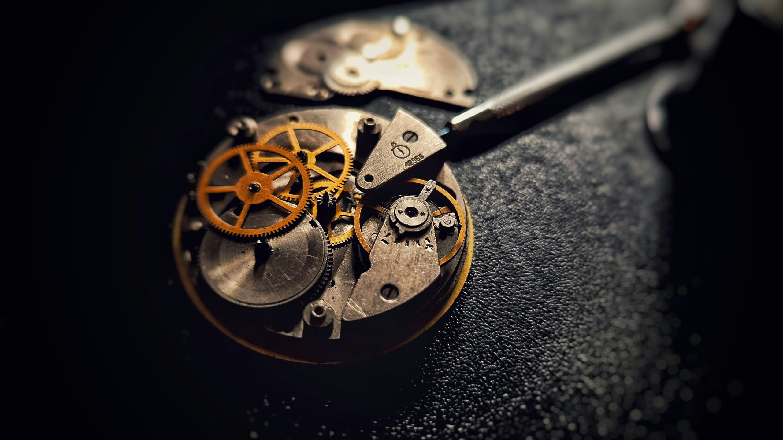 « nous voulons accompagner les horlogers bien au-delà de l’outillage » « nous voulons accompagner les horlogers bien au-delà de l’outillage »